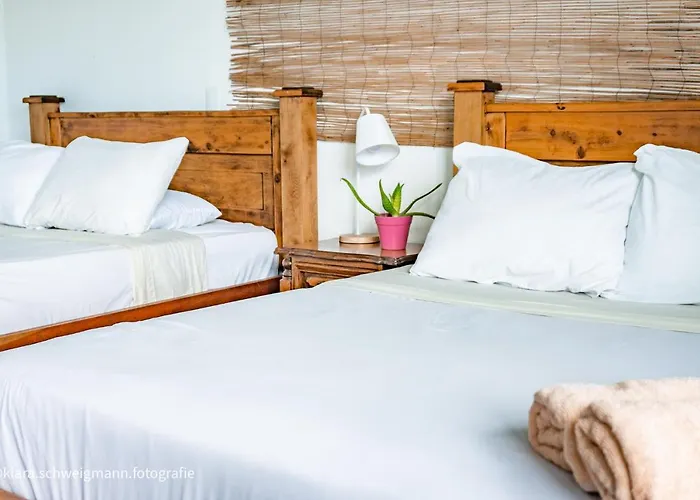 Lost In San Jose Hotel & Hostel